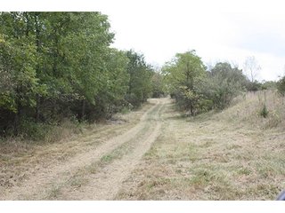 Property photo 64 - 419 +/- Acres offered in 6 Tracts, Land Auction